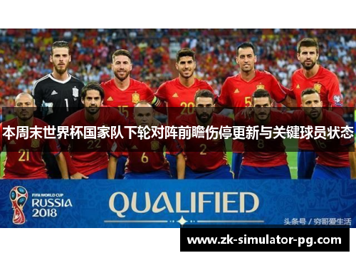 本周末世界杯国家队下轮对阵前瞻伤停更新与关键球员状态