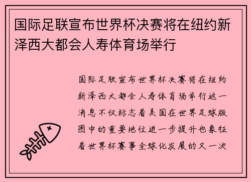 国际足联宣布世界杯决赛将在纽约新泽西大都会人寿体育场举行